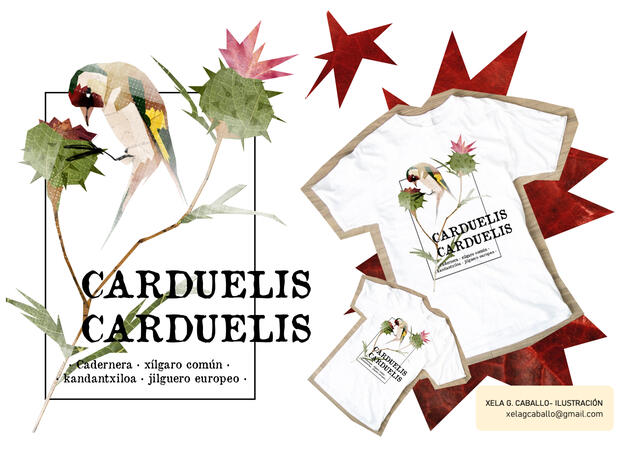 Deseño para o concurso de camisetas de SEO Birdlife