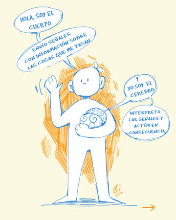 Chiqui y cerebro 01
